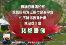 無論如何我都愛你