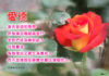 「愛德」是什麼?