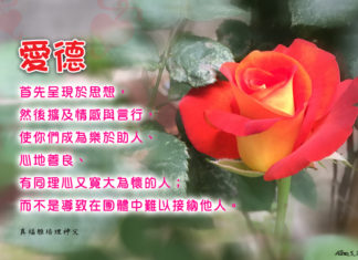 「愛德」是什麼?