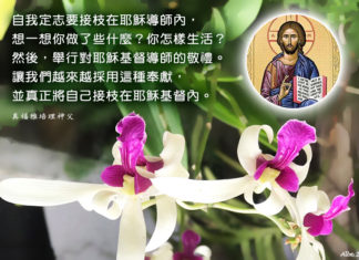 將自己接枝在耶穌基督內