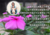 瑪利亞是我們的庇蔭
