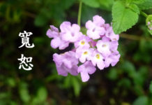 寬恕的信