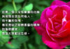 心胸寬廣的使徒