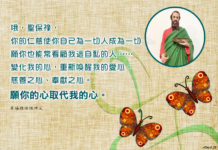 使徒的豐富成果