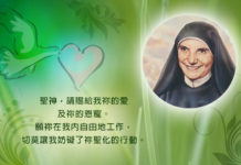 「你們認識的聖神。」(若十四17)