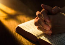 「在主內,藉祂的能力」(弗六 10)