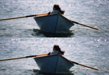 「使萬有總歸於基督。」(弗一10)