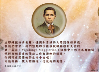 保祿會小修士馬喬理諾