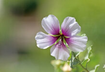 讓我們擴大自己的想法與胸襟