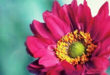 活出完美的自己