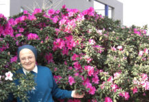 天主的愛陪伴與引領,讓夢想成真在每一天