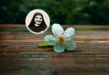 妳們要成為有聖德的人