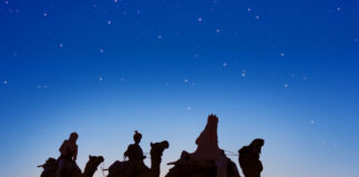 「纔誕生的猶太人君王在那裏?」(瑪二2)