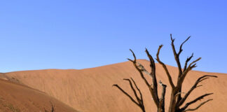 人生活不只靠餅,而也靠天主口中所發的一切言語。(申八2-4)